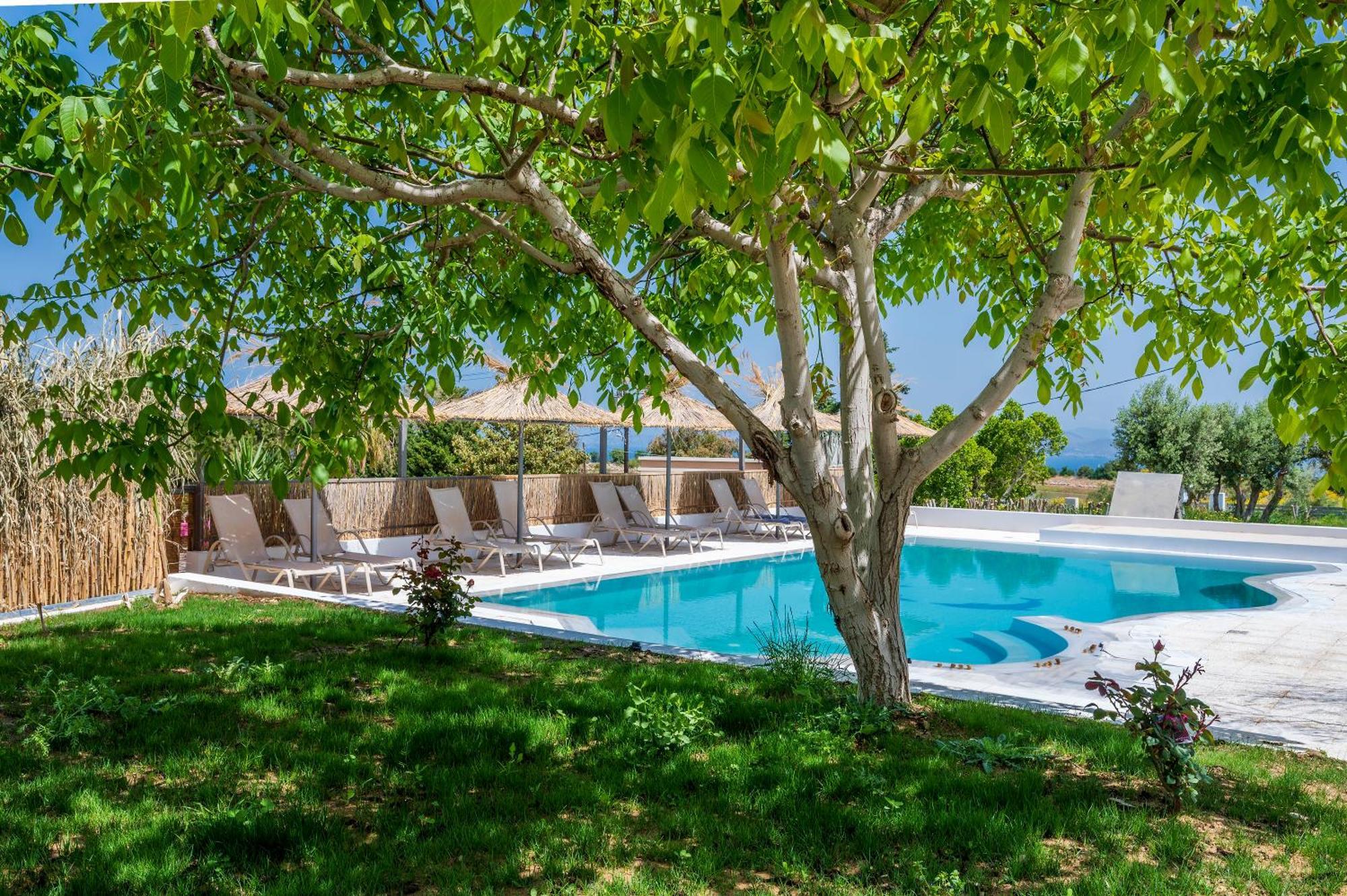 Homes Eva'S Garden, Poolside Cozy Havens In Kos Agios Dimitrios  Eksteriør bilde