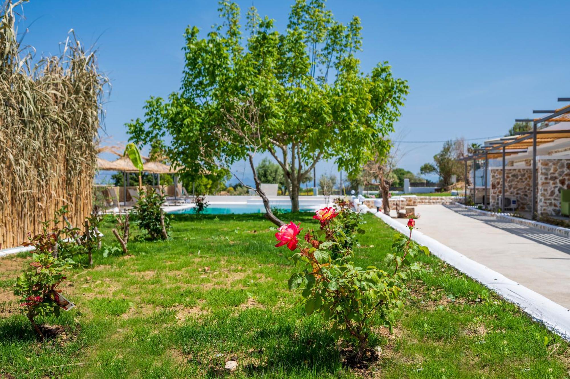 Homes Eva'S Garden, Poolside Cozy Havens In Kos Agios Dimitrios  Eksteriør bilde